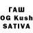 Галлюциногенные грибы Magic Shrooms Zaku GT