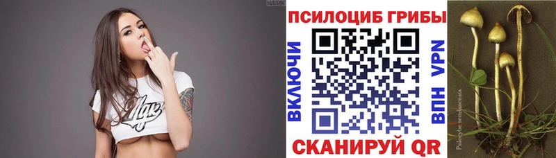 купить наркоту  Петропавловск-Камчатский  МЕГА как зайти  Псилоцибиновые грибы прущие грибы 