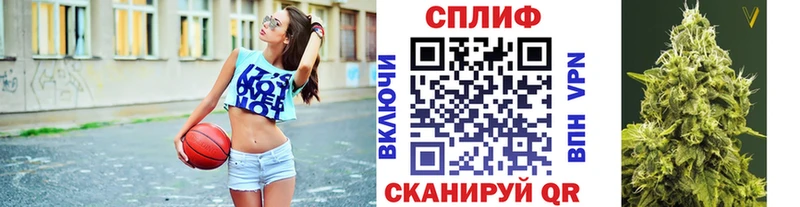 наркотики  Петропавловск-Камчатский  Бошки Шишки Amnesia 